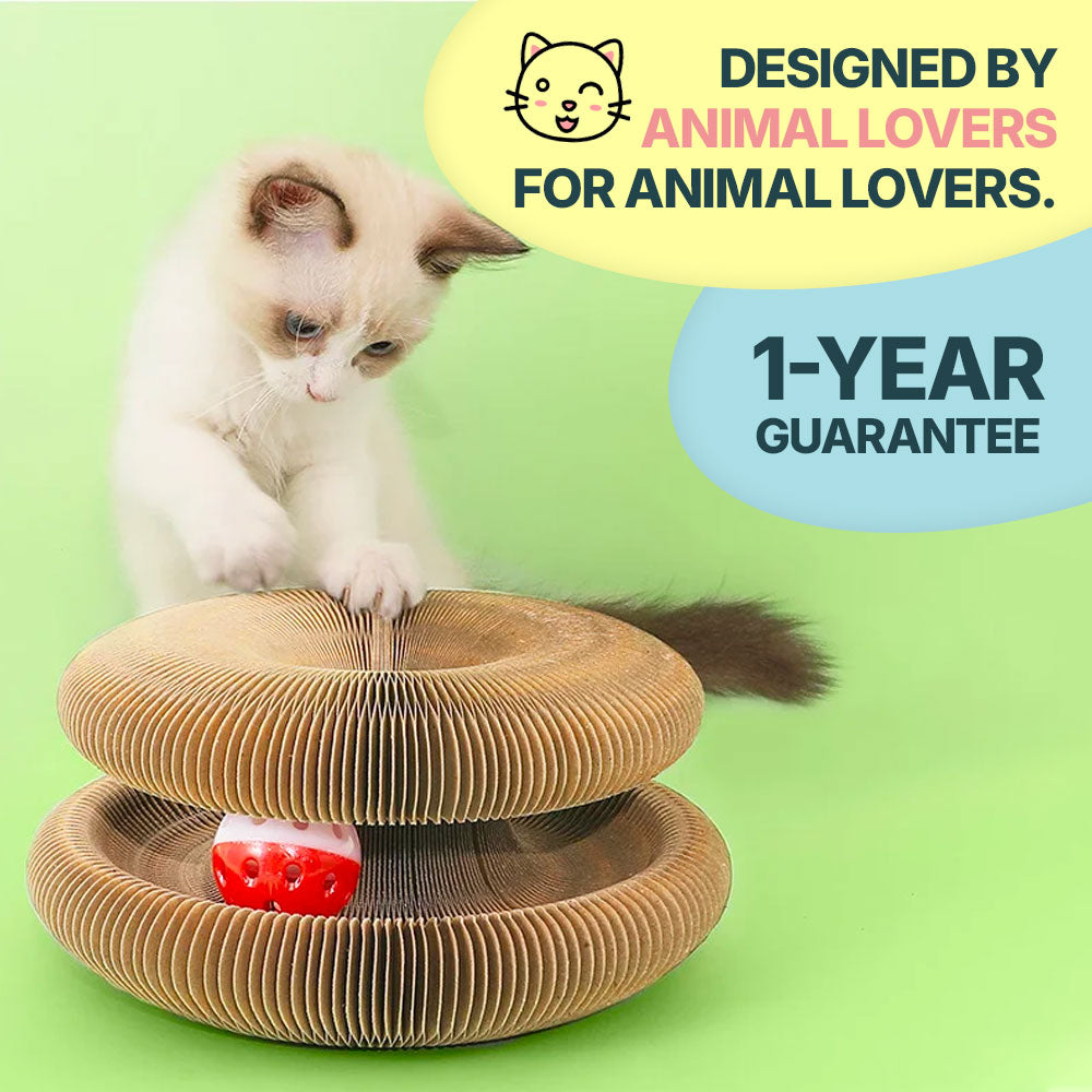 2-in-1 Scratcher & Ball Track