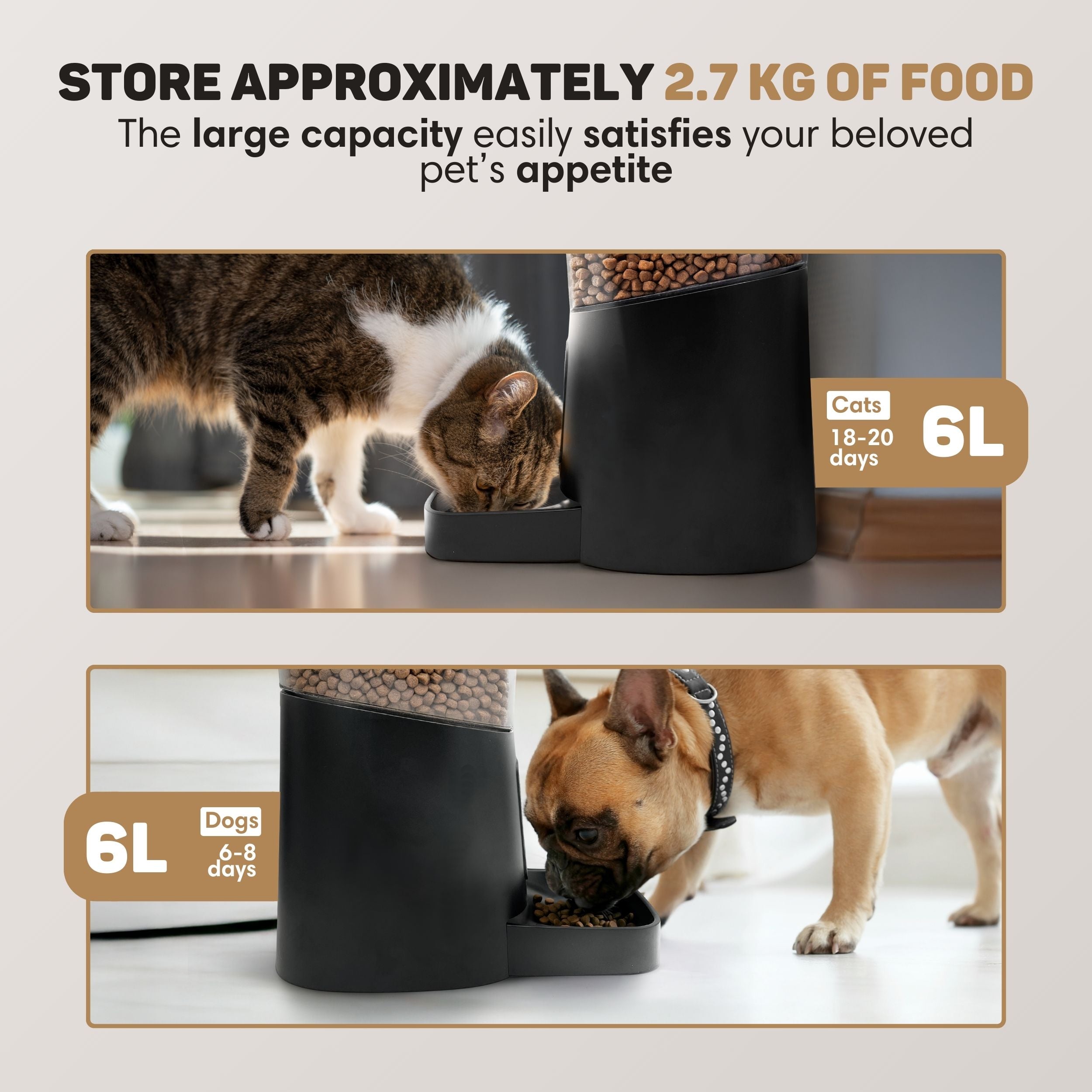 Smart Automatic Cat Feeder