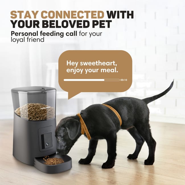 Smart Automatic Cat Feeder
