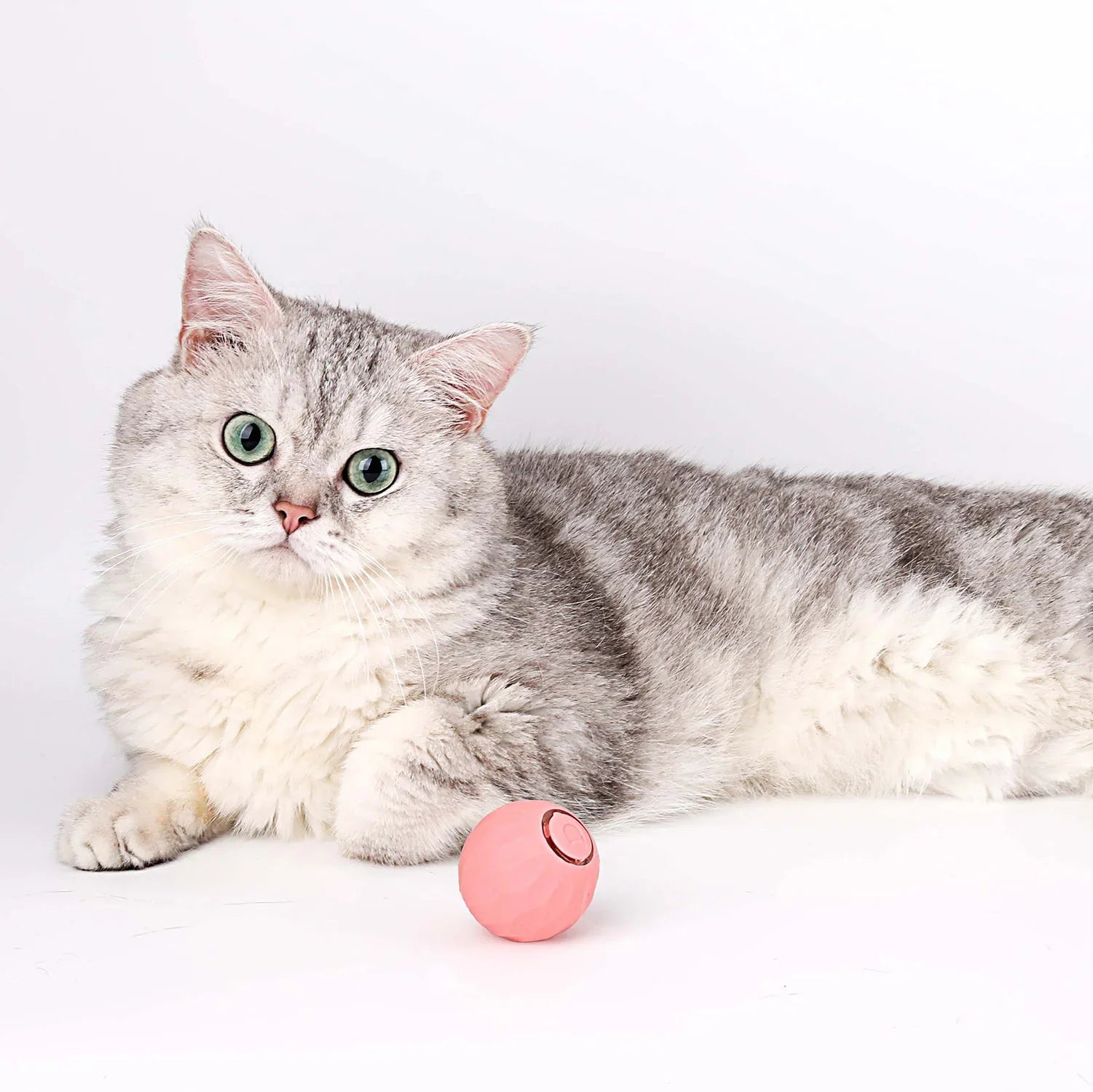 Catology SmartBall – Automatic Bouncing Cat Toy
