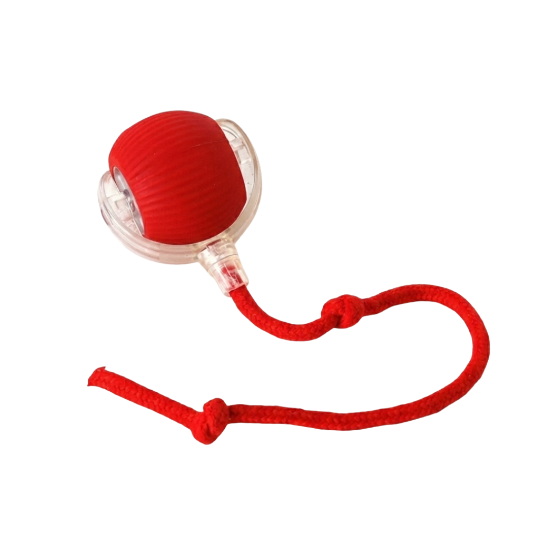 Teaser Ball – Interactive Pull & Chase Toy