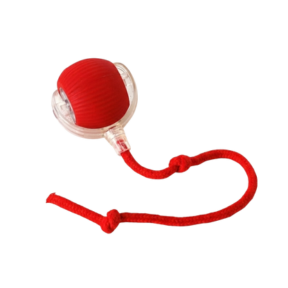 Teaser Ball – Interactive Pull & Chase Toy