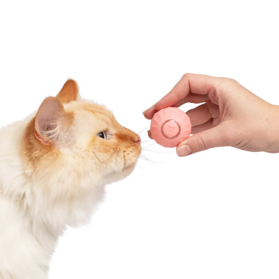 Catology SmartBall – Automatic Bouncing Cat Toy