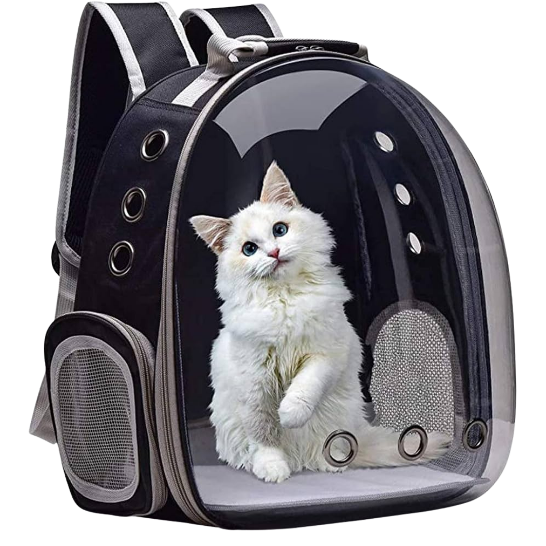 ClearView Cat Backpack – Breathable Travel Carrier