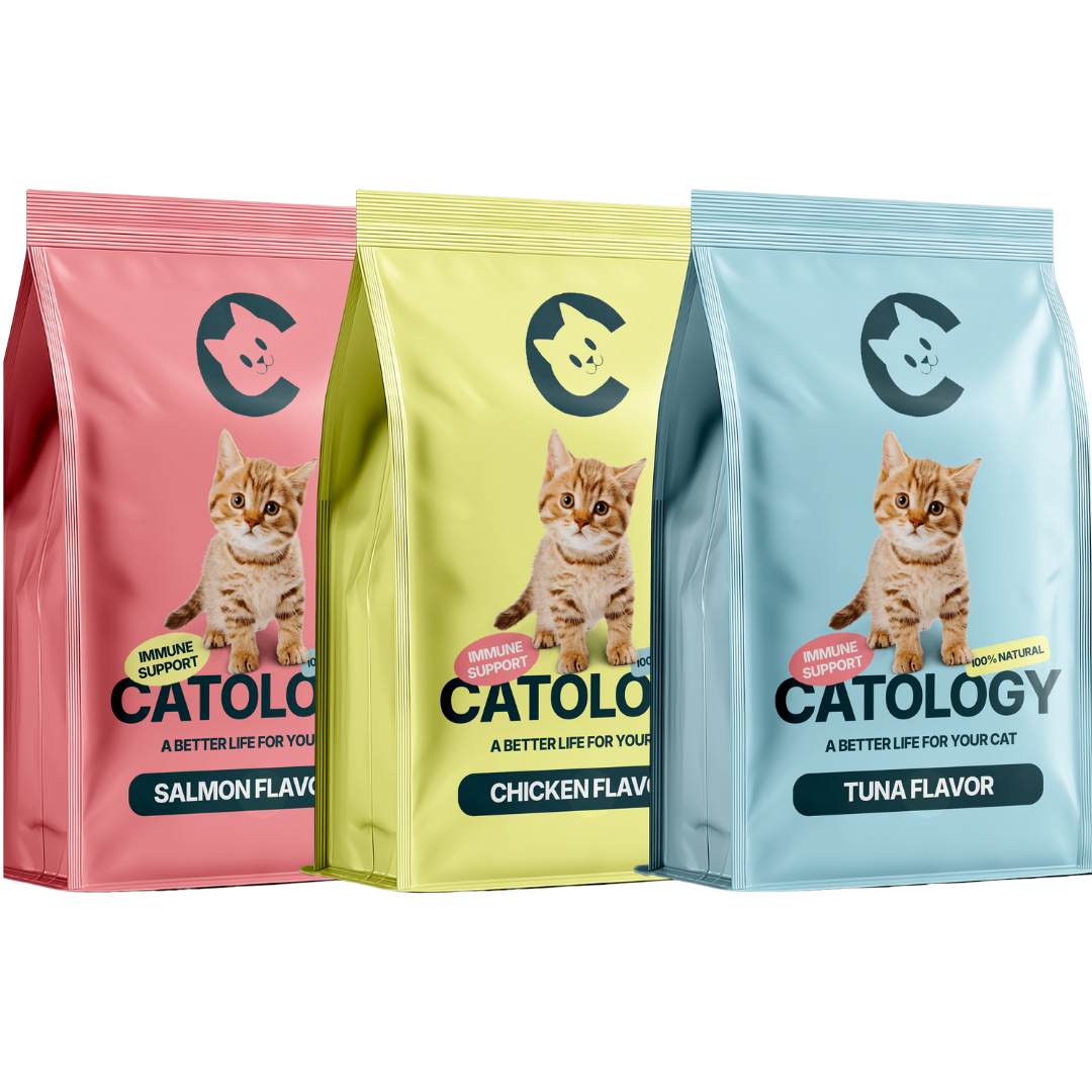 Catology Immune Support Kibble – 1kg Bag