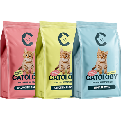 Catology Immune Support Kibble – 1kg Bag