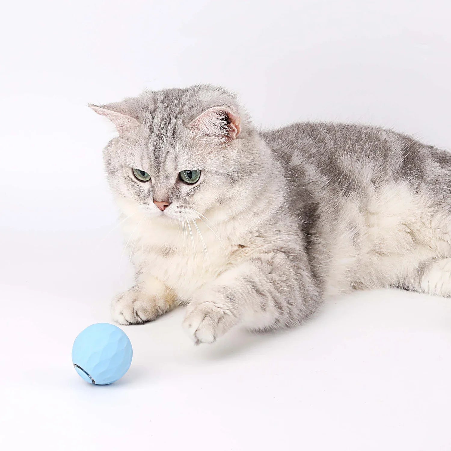 Catology SmartBall – Automatic Bouncing Cat Toy