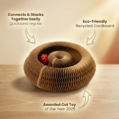 2-in-1 Scratcher & Ball Track