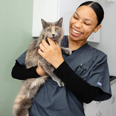 Dr. Emily Chen, DVM