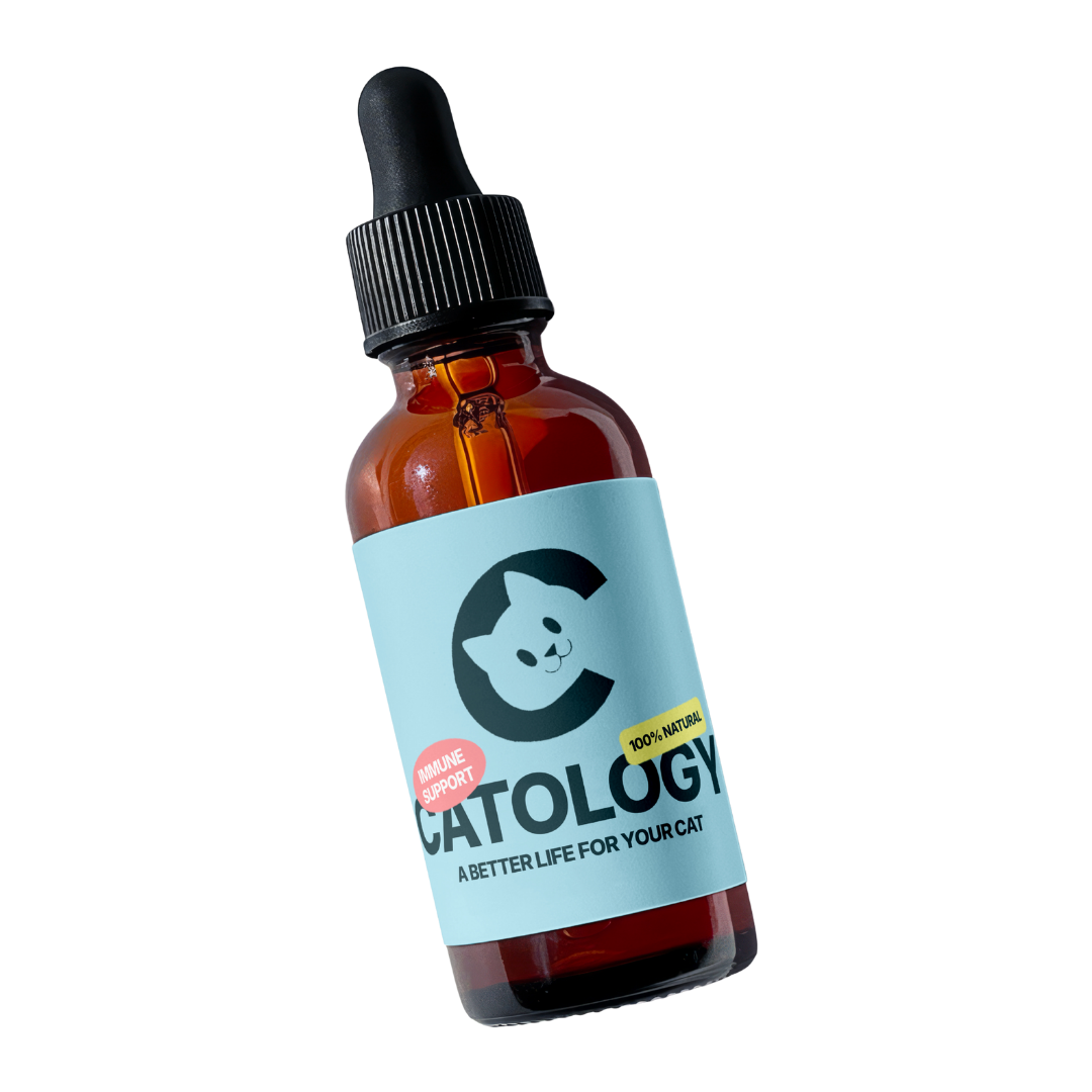 Catology Probiotic Serum – Advanced Immune & Gut Health Drops