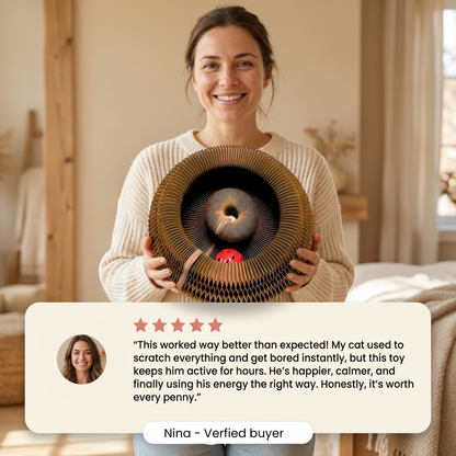 2-in-1 Scratcher & Ball Track