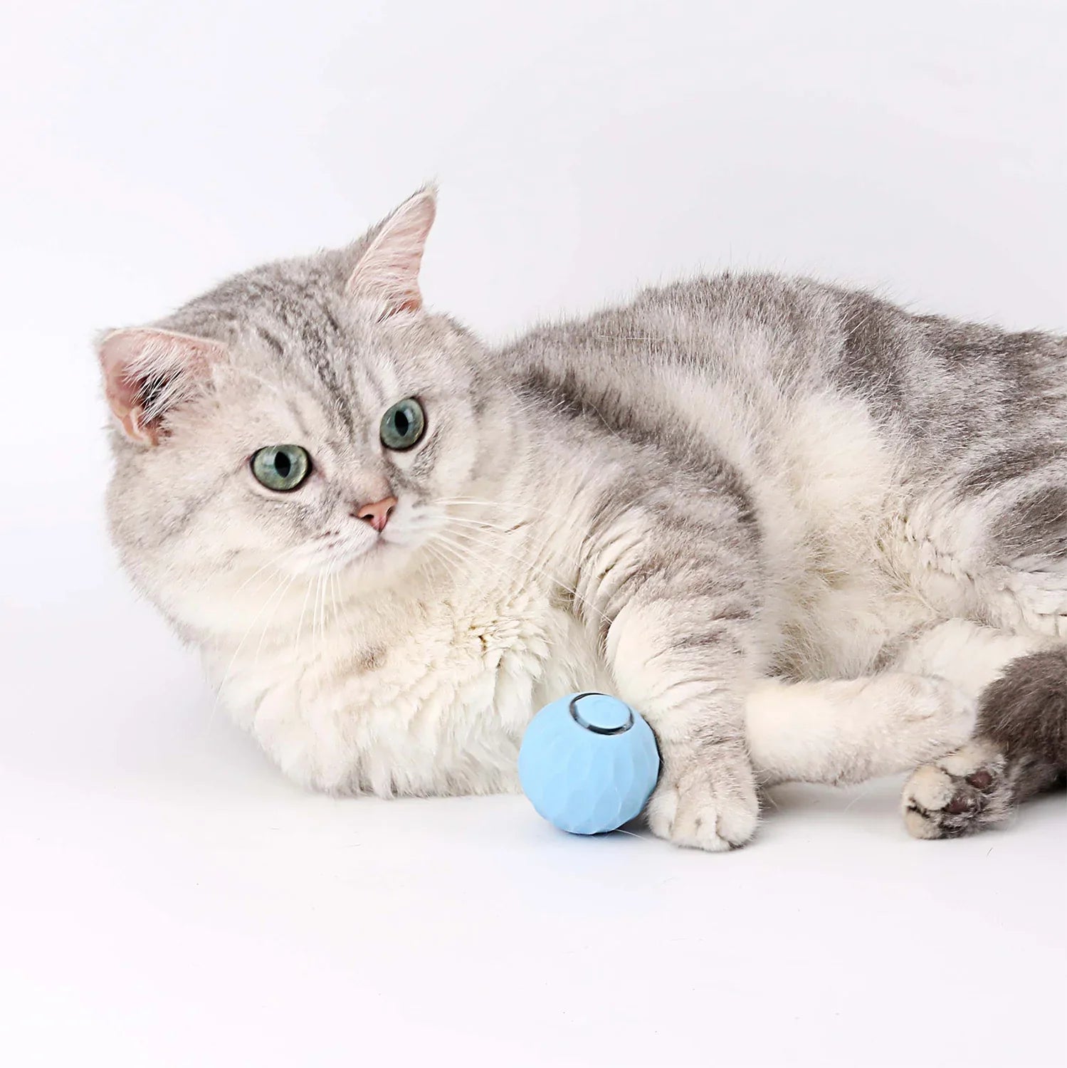 Catology SmartBall – Automatic Bouncing Cat Toy