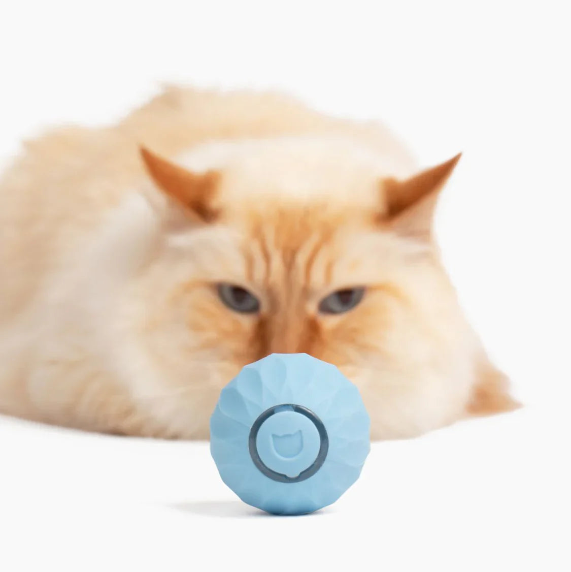 Catology SmartBall – Automatic Bouncing Cat Toy
