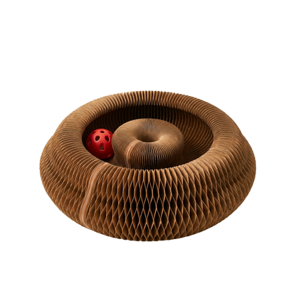 2-in-1 Scratcher & Ball Track