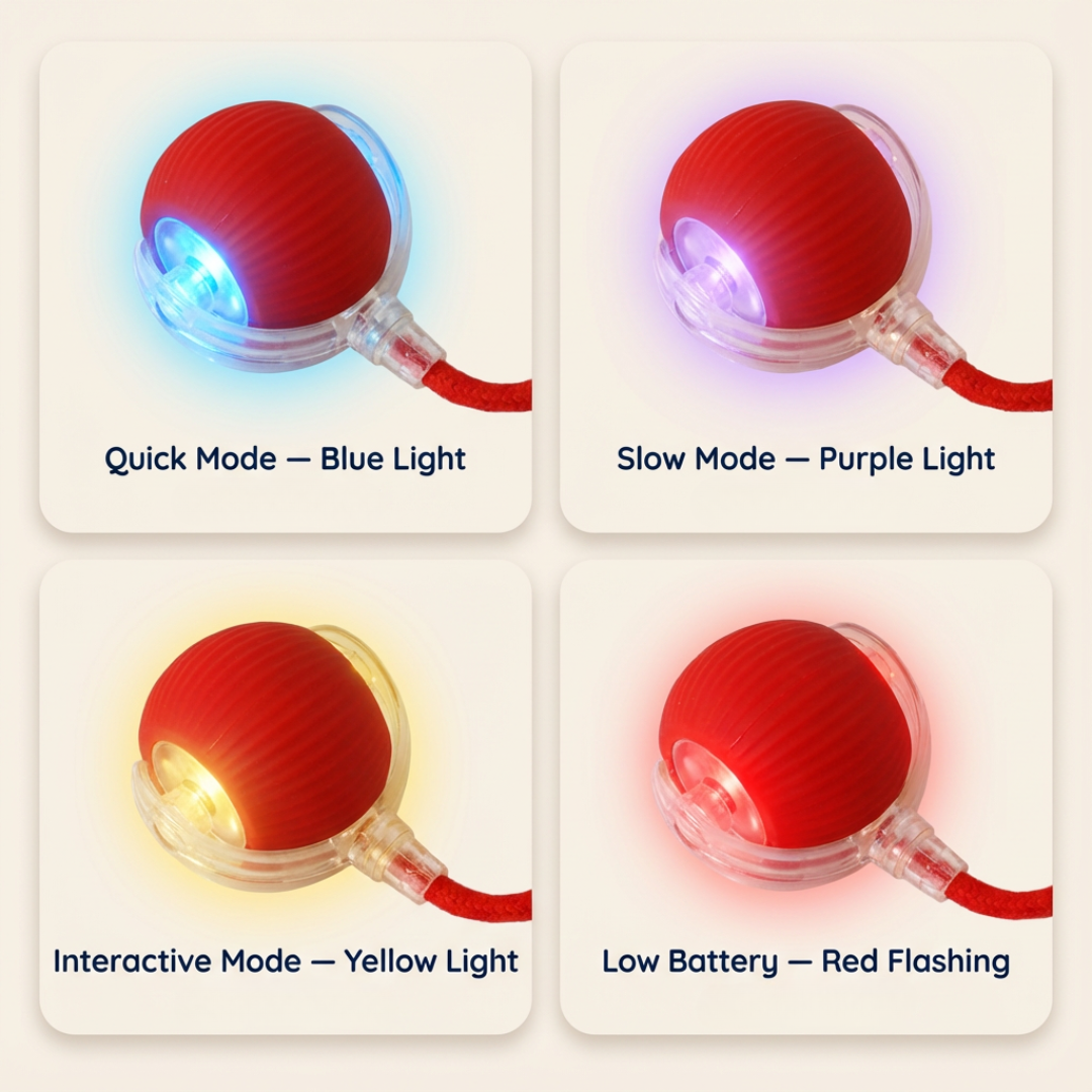 Teaser Ball – Interactive Pull & Chase Toy