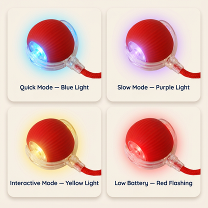 Teaser Ball – Interactive Pull & Chase Toy