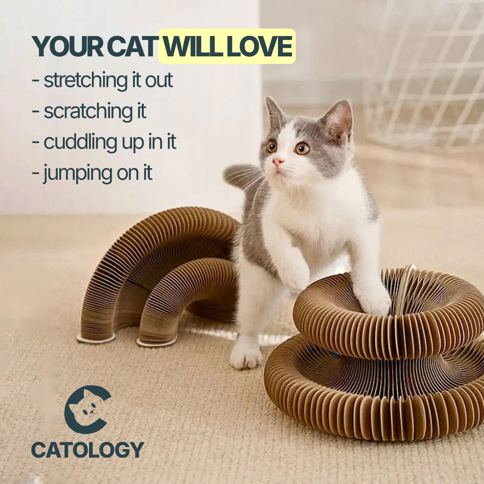 2-in-1 Scratcher & Ball Track