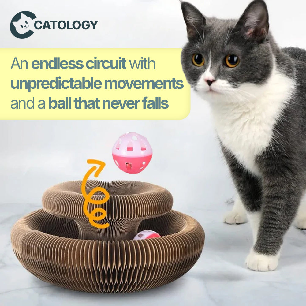 2-in-1 Scratcher & Ball Track