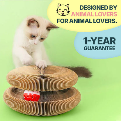 2-in-1 Scratcher & Ball Track