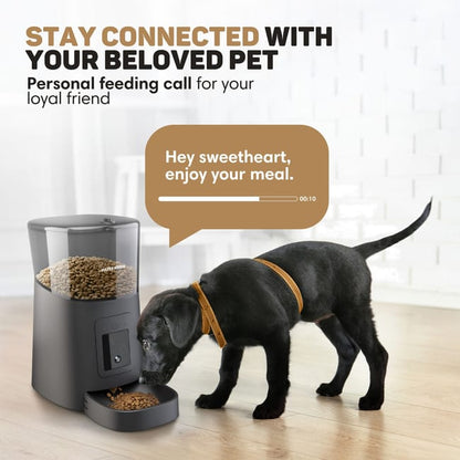 Smart Automatic Cat Feeder